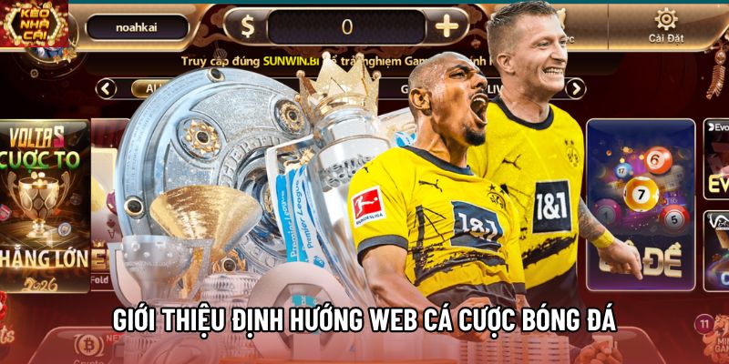 Giới thiệu định hướng phát triển của web cá cược bóng đá